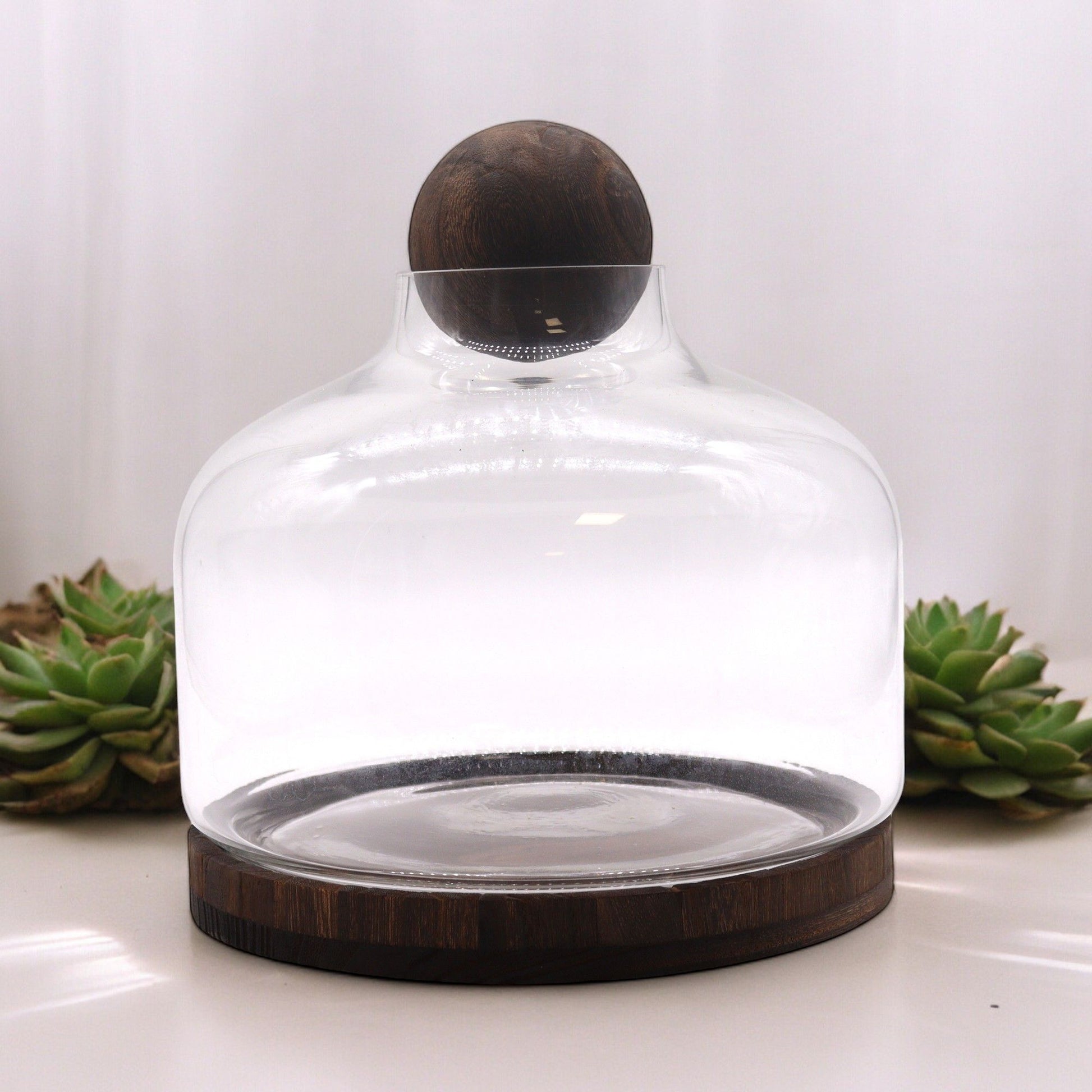 Ex-Large Ball Top Terrarium on Dark Tung Wood - Image exlarge-ball-top-terrarium-on-dark-tung-wood-gter-15