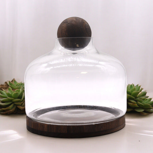 Ex-Large Ball Top Terrarium on Dark Tung Wood - Image exlarge-ball-top-terrarium-on-dark-tung-wood-gter-15
