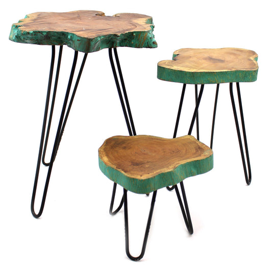 Set of 3 Gamal Wood Plant Stands - Greenwash - Image set-of-3-gamal-wood-plant-stands--greenwash-pss-02