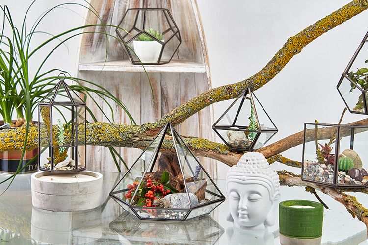 Glass Terrarium - Small Diamond - Image glass-terrarium--small-diamond-gter-01