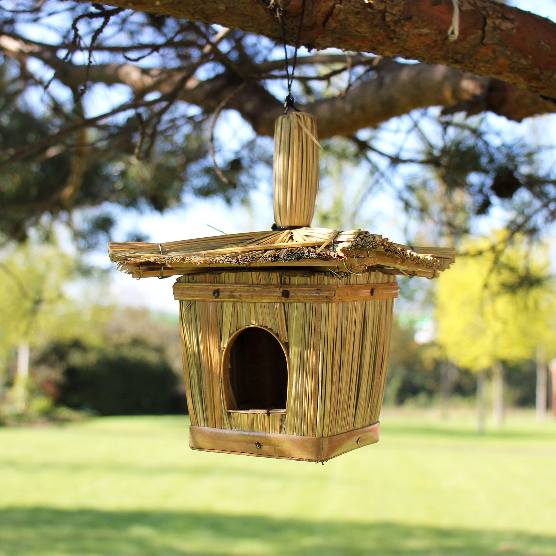 Small Square Seagrass Bird Box 18x13cm - Image small-square-seagrass-bird-box-18x13cm-birdb-02