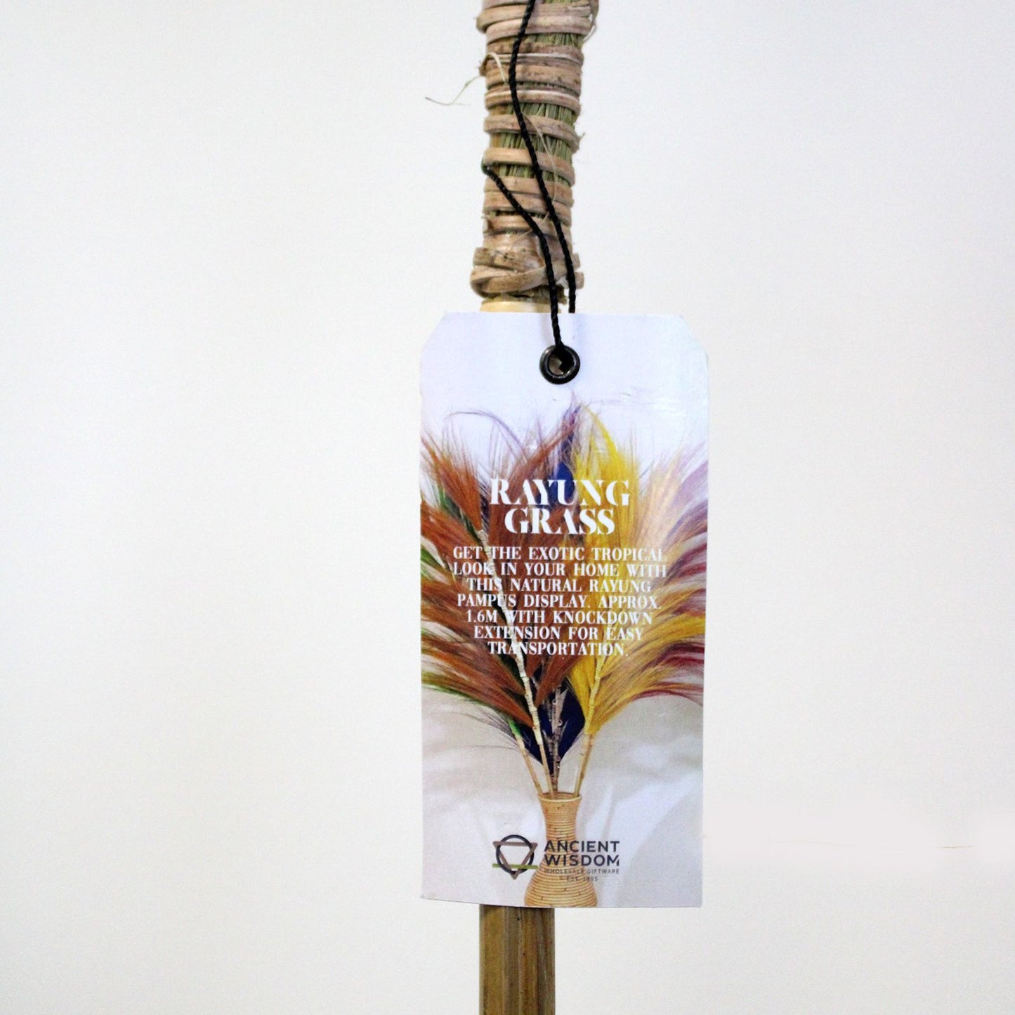 Rayung Grass Natural - 1.6m - Image rayung-grass-natural--16m-pamg-01