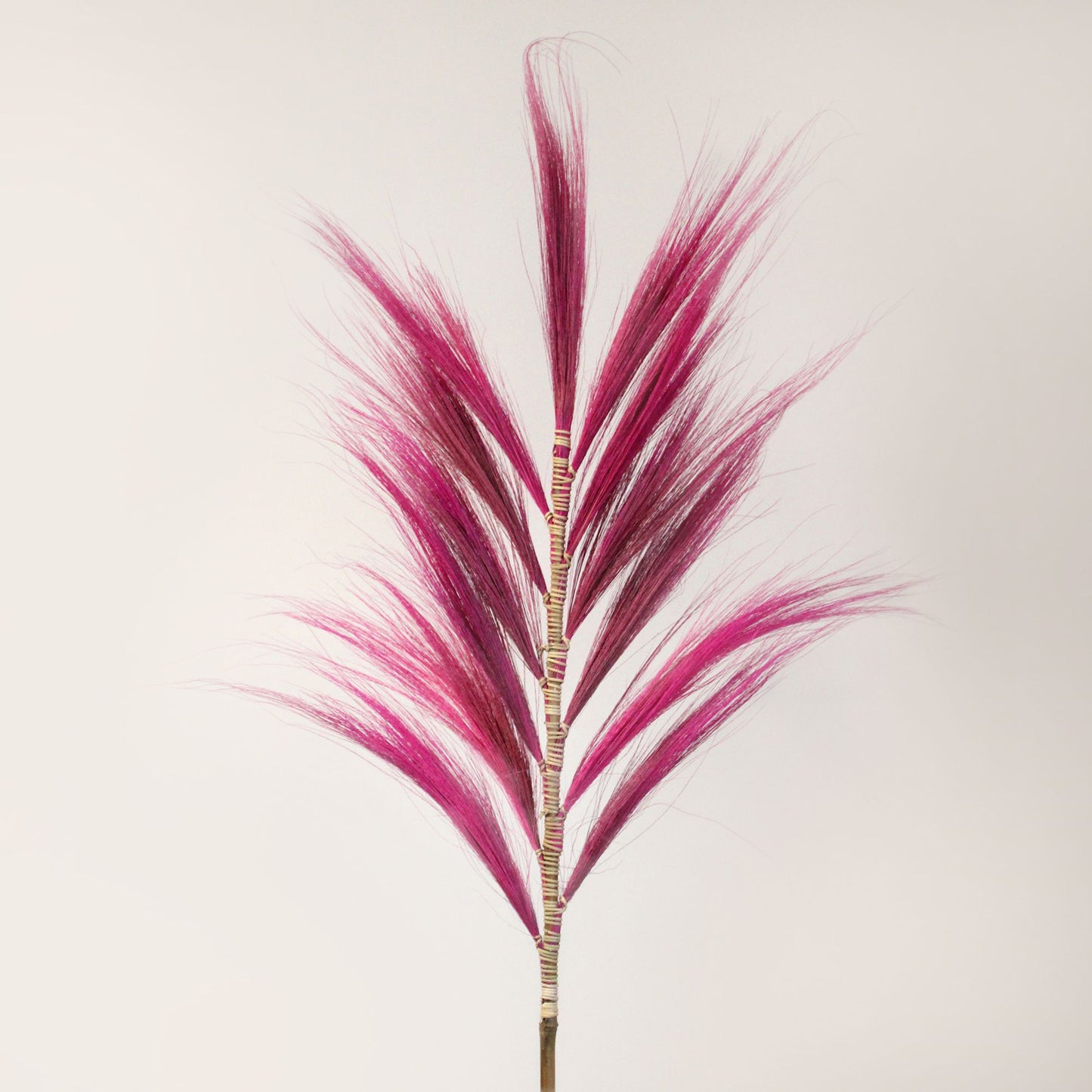 Rayung Grass Pink- 1.6m - Image rayung-grass-pink-16m-pamg-05