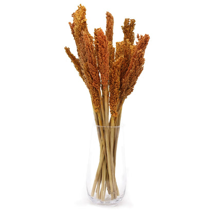 Cantal Grass Bunch - Orange - Image cantal-grass-bunch--orange-cgb-03