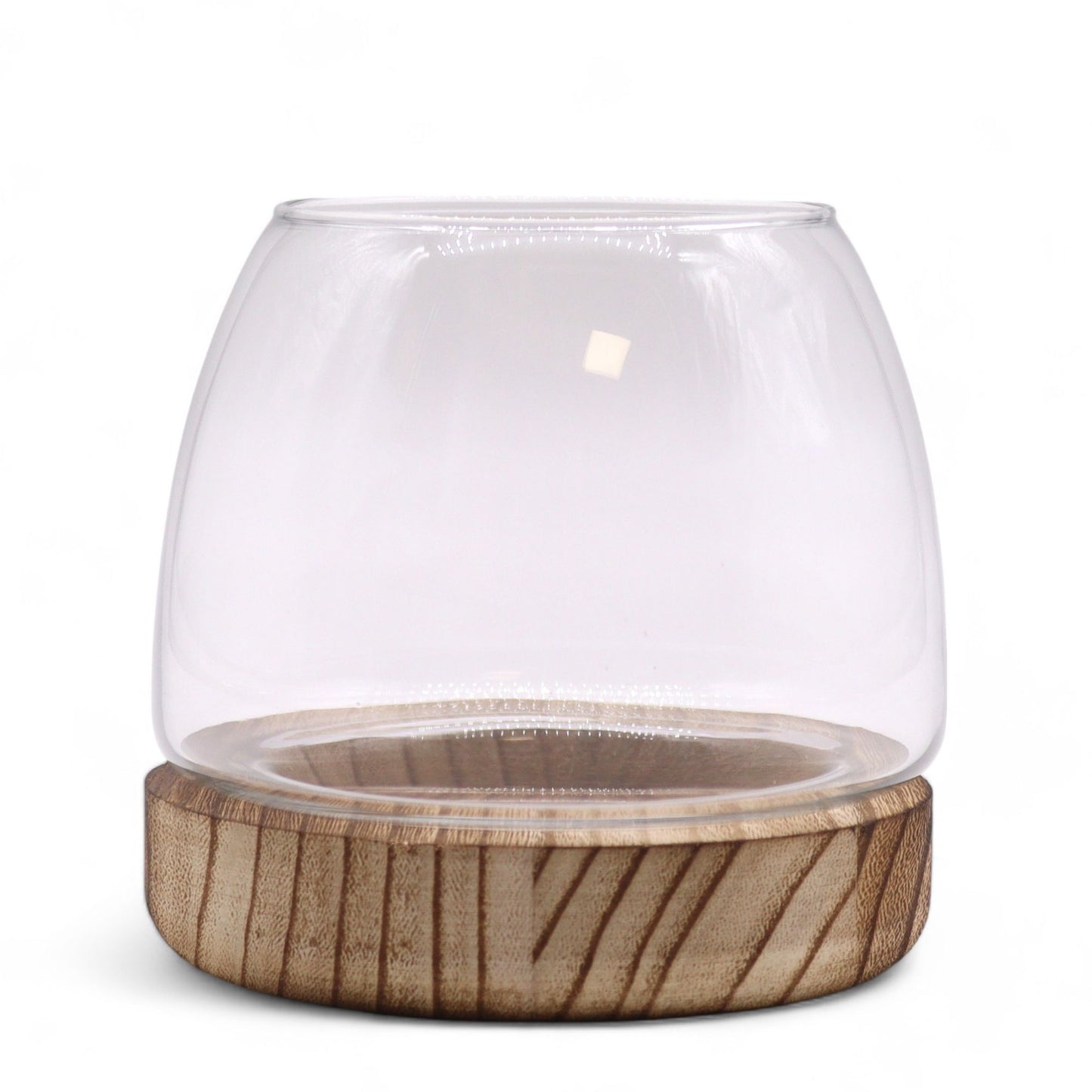 Small Terrarium on Natural Tung Wood - Image small-terrarium-on-natural-tung-wood-gter-08