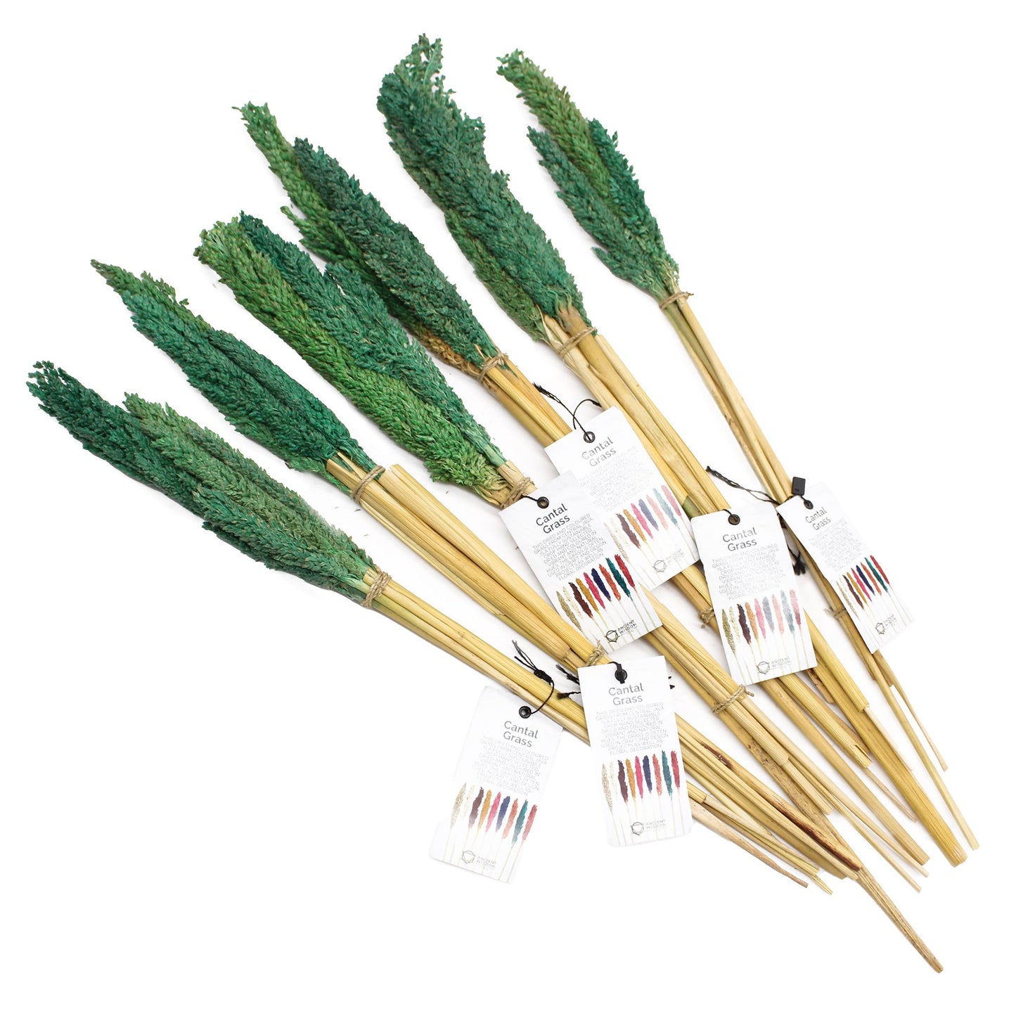 Cantal Grass Bunch - Teal - Image cantal-grass-bunch--teal-cgb-08