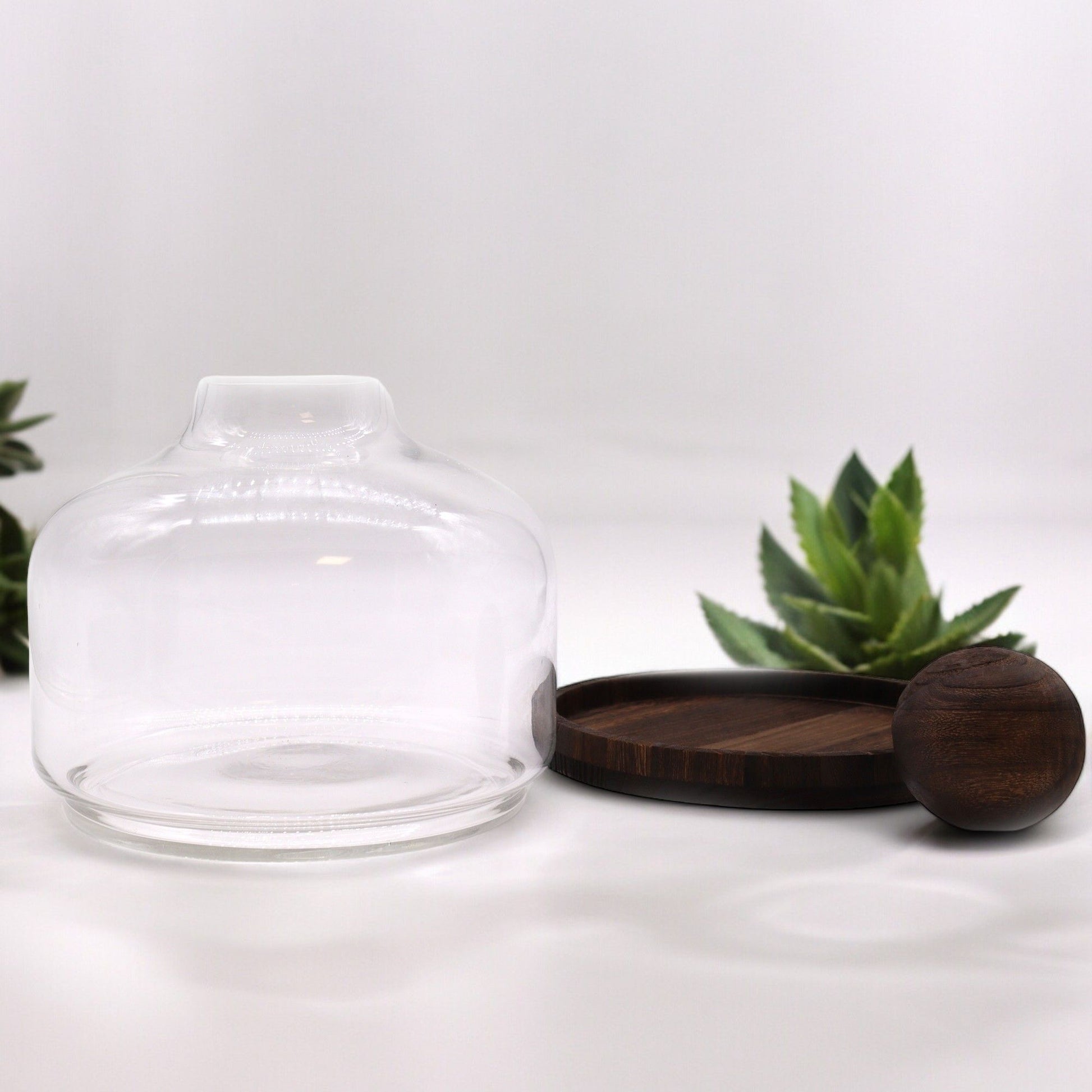 Ex-Large Ball Top Terrarium on Dark Tung Wood - Image exlarge-ball-top-terrarium-on-dark-tung-wood-gter-15