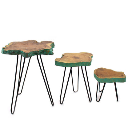 Set of 3 Gamal Wood Plant Stands - Greenwash - Image set-of-3-gamal-wood-plant-stands--greenwash-pss-02