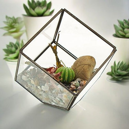 Glass Terrarium - Cube on Corner - Image glass-terrarium--cube-on-corner-gter-06