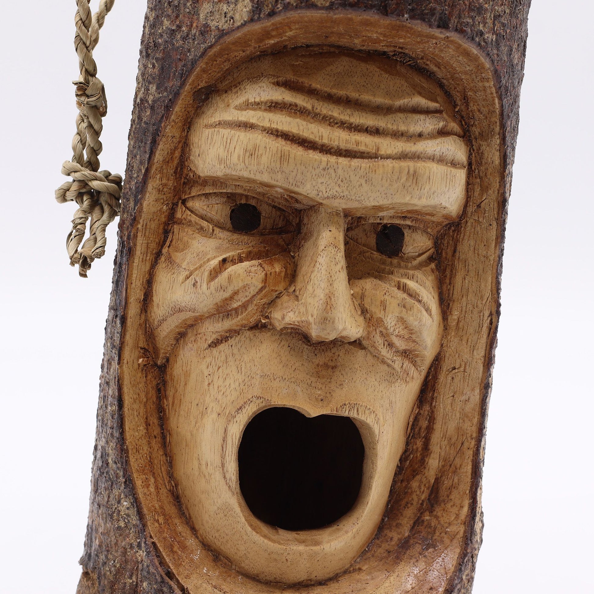 Tree Trunk Face - Bird House - Grumpy Old Man - Image tree-trunk-face--bird-house--grumpy-old-man-birdb-08
