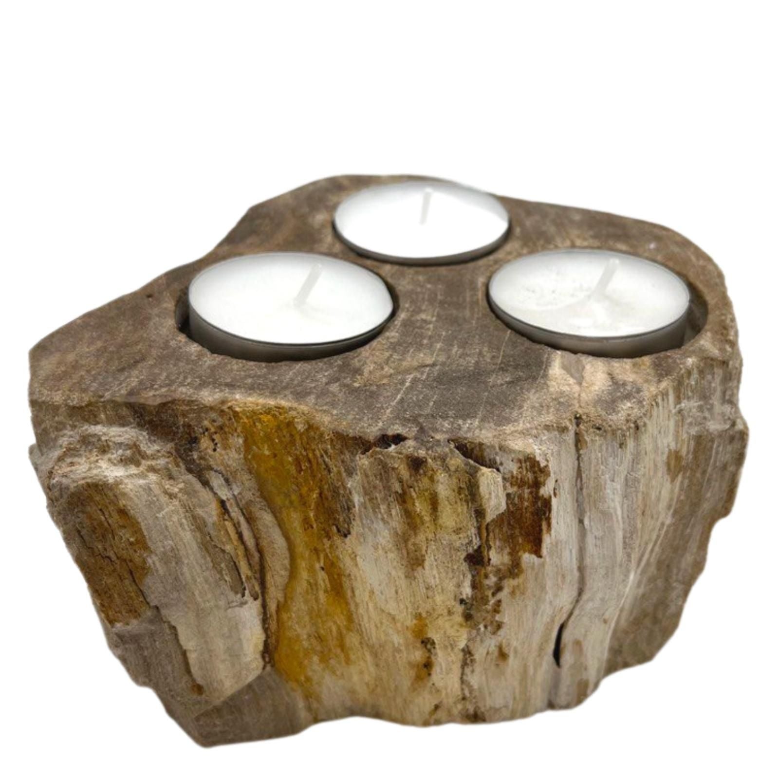 Petrified Wood Candle Holder - Triple - Image petrified-wood-candle-holder--triple-petw-04