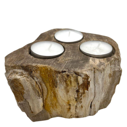 Petrified Wood Candle Holder - Triple - Image petrified-wood-candle-holder--triple-petw-04