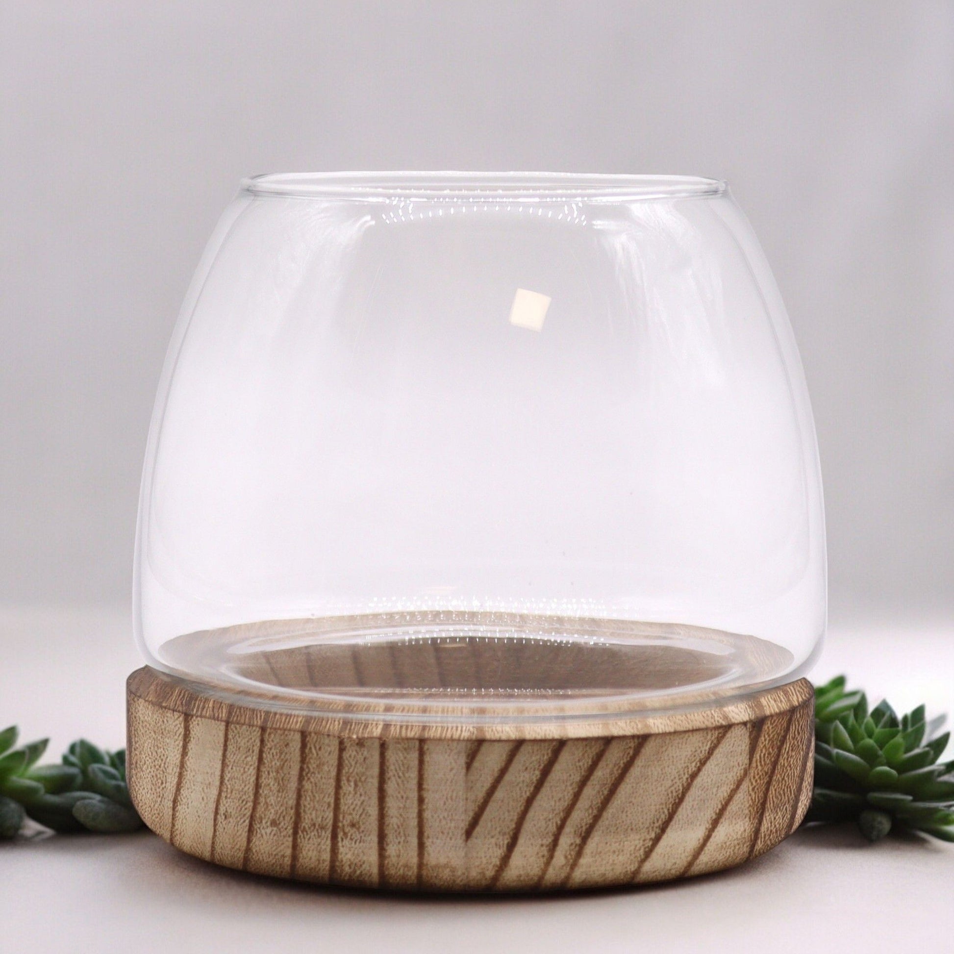 Small Terrarium on Natural Tung Wood - Image small-terrarium-on-natural-tung-wood-gter-08