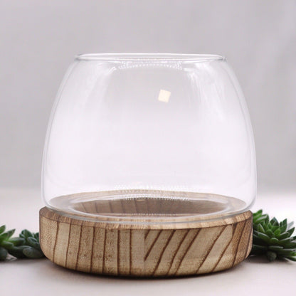 Small Terrarium on Natural Tung Wood - Image small-terrarium-on-natural-tung-wood-gter-08