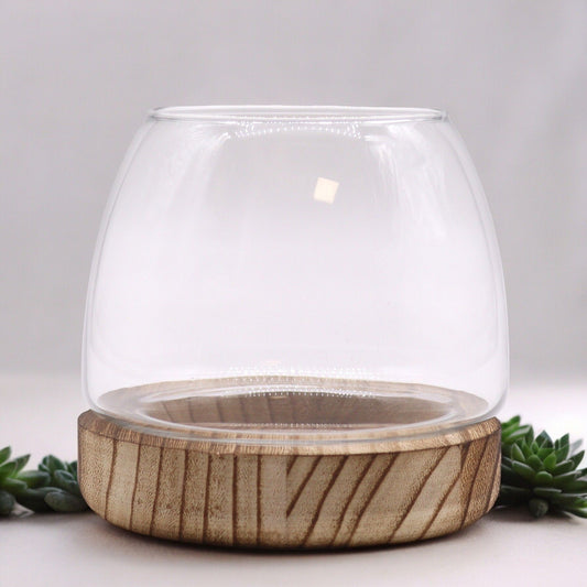 Small Terrarium on Natural Tung Wood - Image small-terrarium-on-natural-tung-wood-gter-08