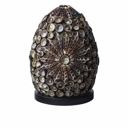 Boho Sea Shell Lamp - Chocolate Twist Oval - 15cm - Image boho-sea-shell-lamp--chocolate-twist-oval--15cm-bbsl-06