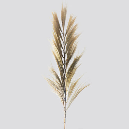 Rayung Grass Blond - 2m - Image rayung-grass-blond--2m-pamg-08