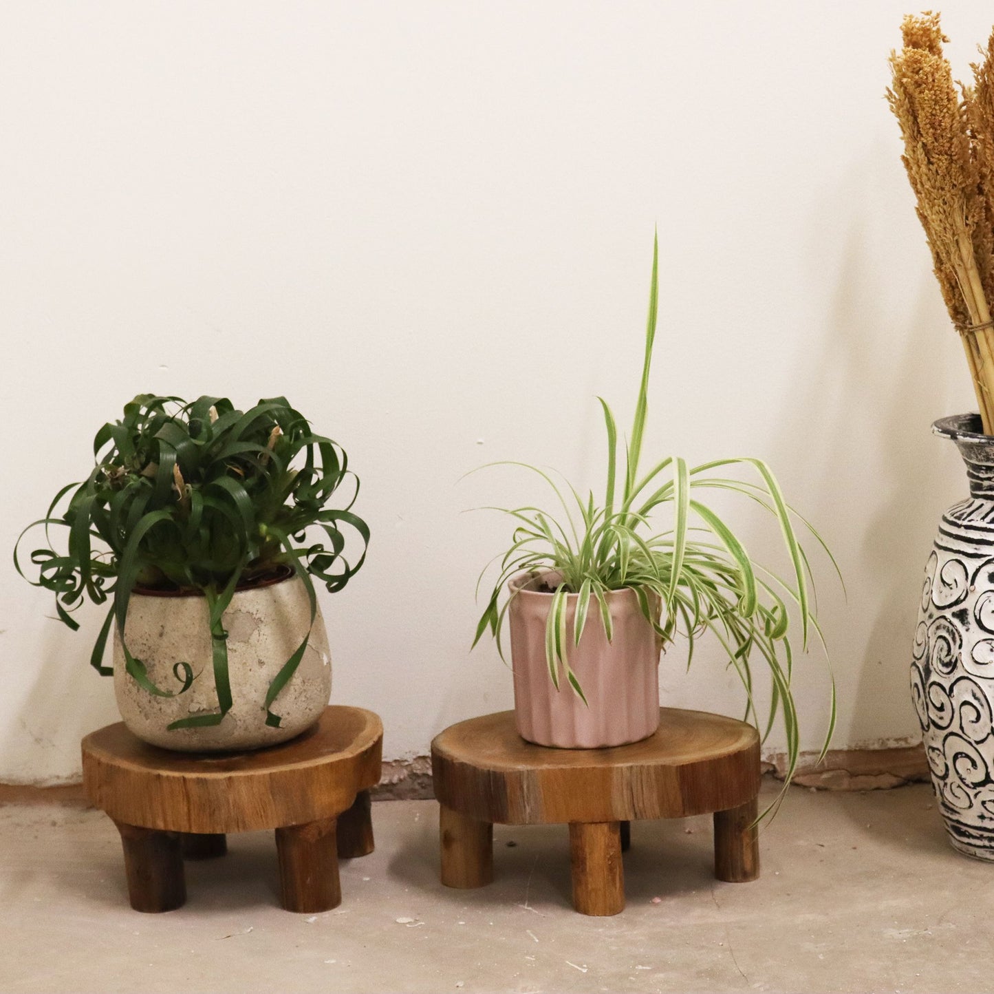 Low Teak Pad Display - 24x10cm - Image low-teak-pad-display--24x10cm-tds-06