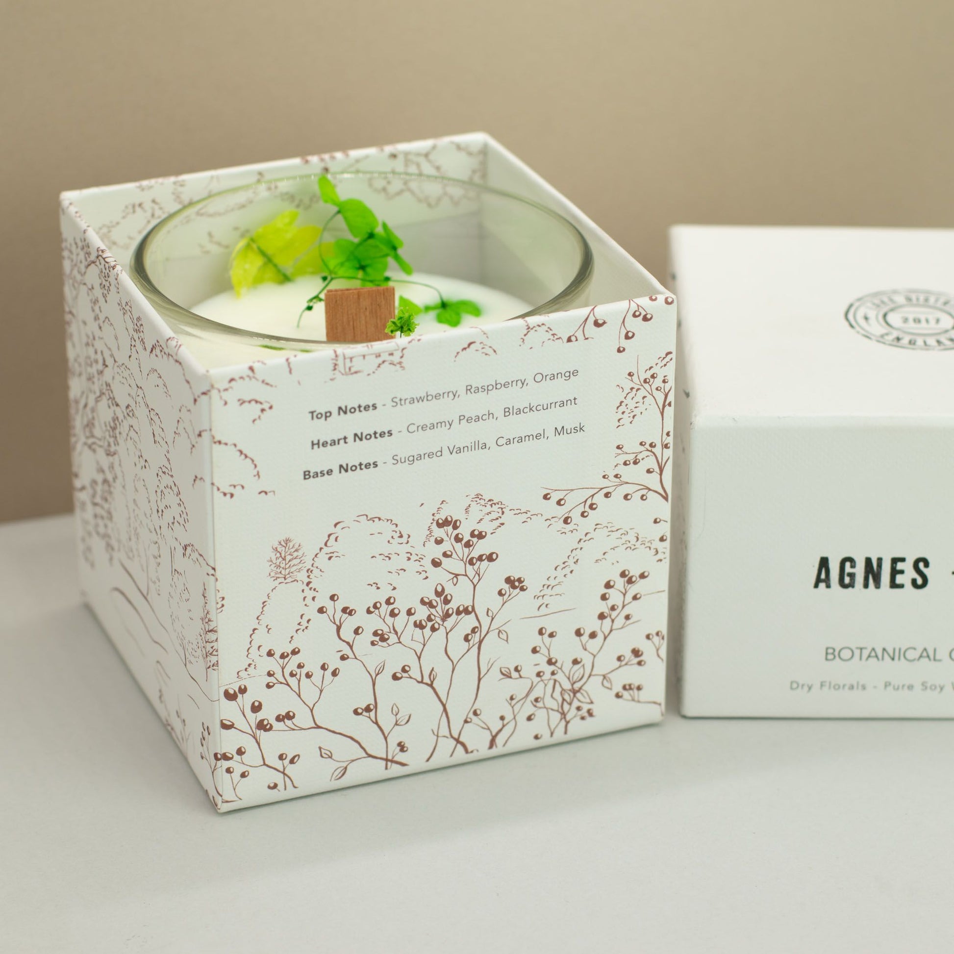 Agnes + Cat Botanical Soy Wax Candle - Fellberry - Image agnes--cat-botanical-soy-wax-candle--fellberry-acbfc-05