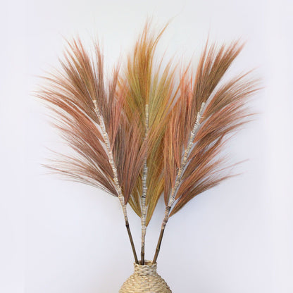 Rayung Grass Coral - 1.6m - Image rayung-grass-coral--16m-pamg-04