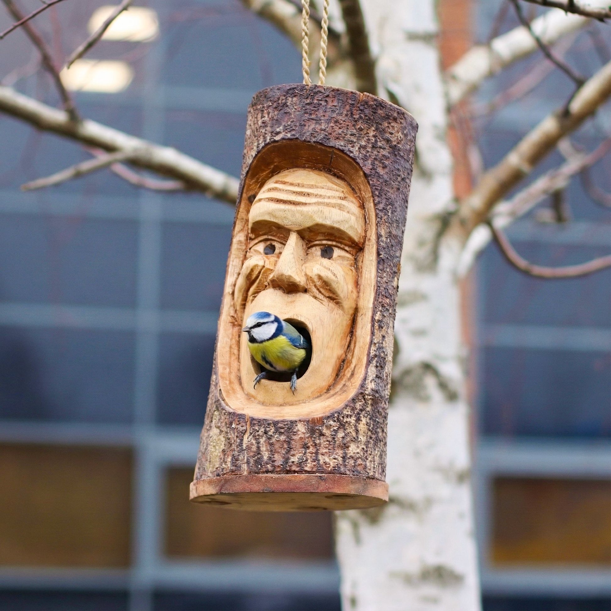Tree Trunk Face - Bird House - Grumpy Old Man - Image tree-trunk-face--bird-house--grumpy-old-man-birdb-08