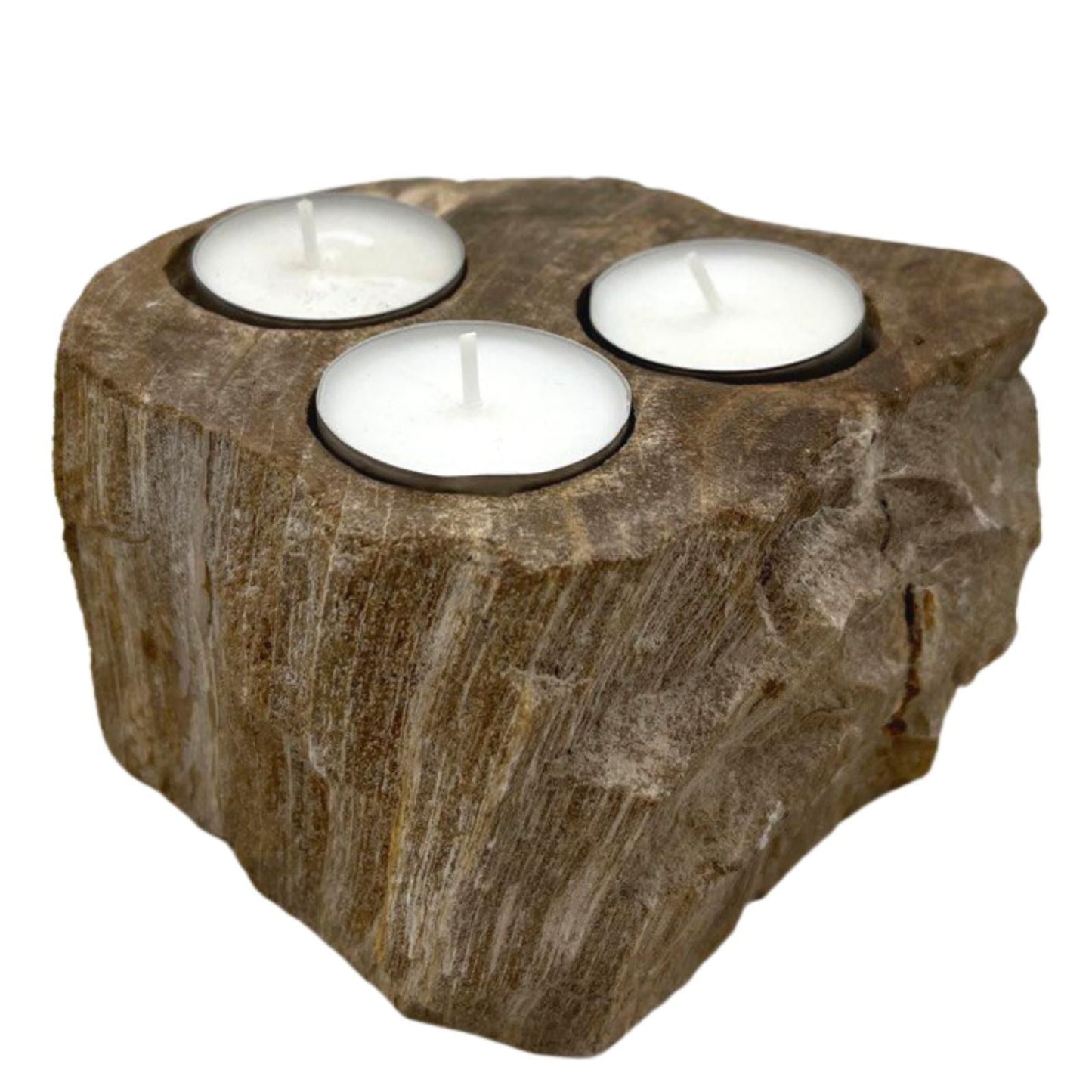 Petrified Wood Candle Holder - Triple - Image petrified-wood-candle-holder--triple-petw-04