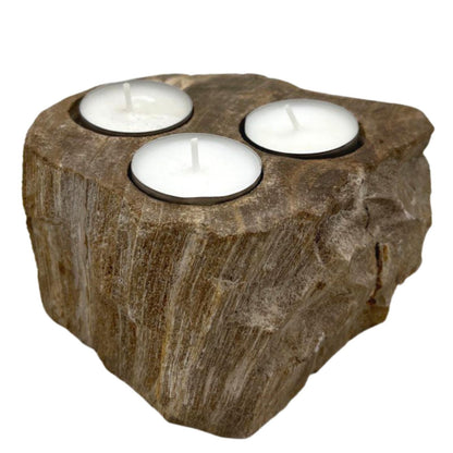 Petrified Wood Candle Holder - Triple - Image petrified-wood-candle-holder--triple-petw-04