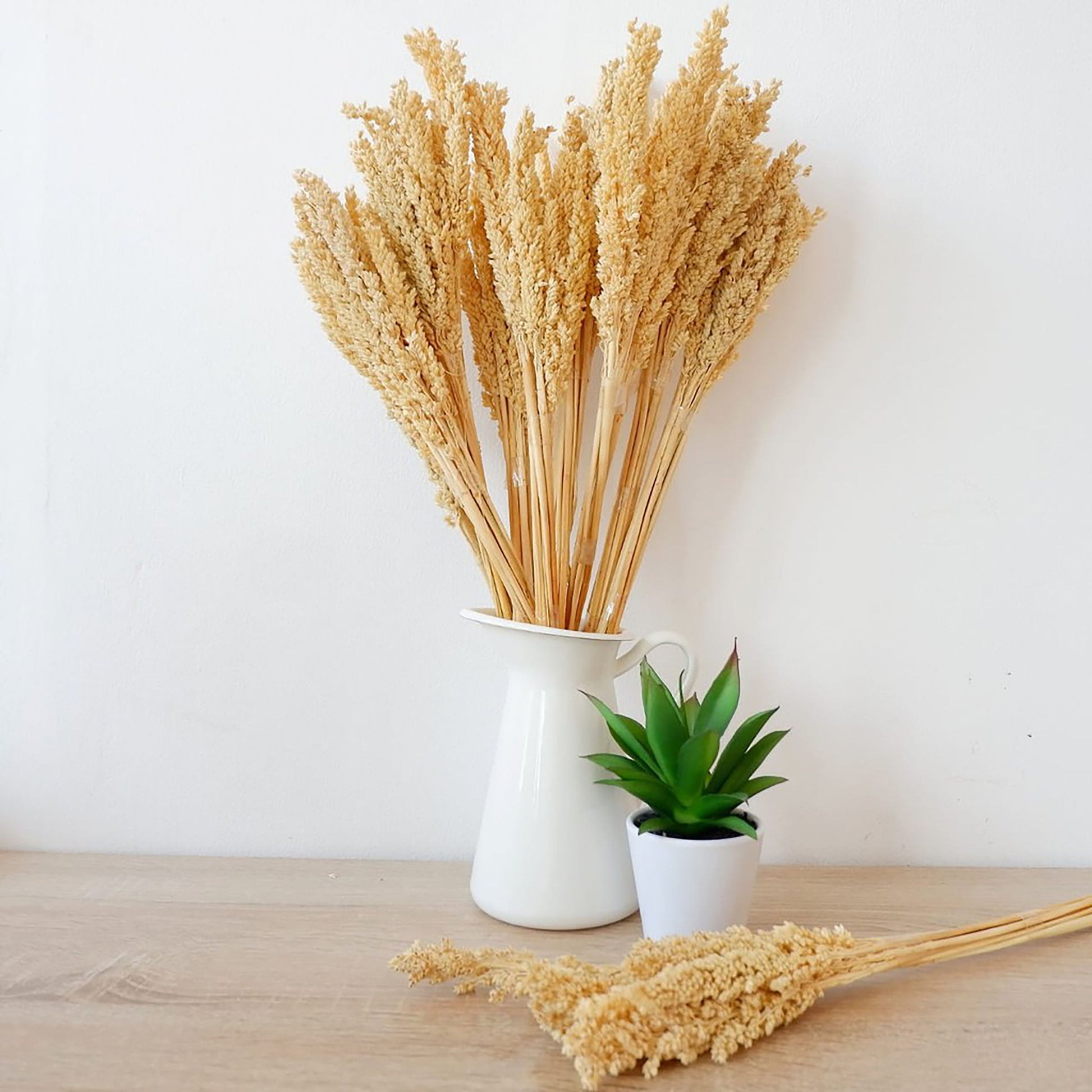Cantal Grass Bunch - Natural - Image cantal-grass-bunch--natural-cgb-01