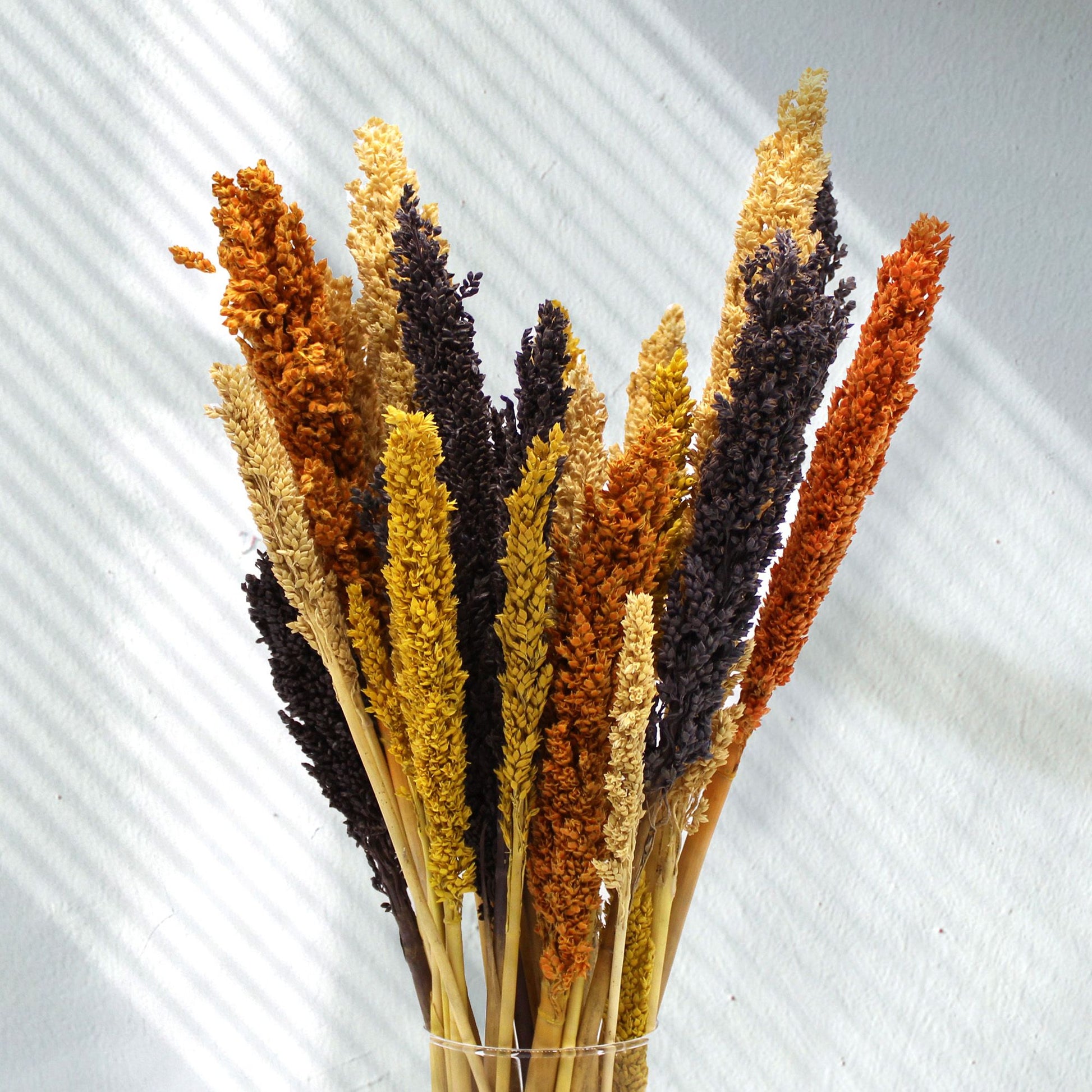 Cantal Grass Bunch - Orange - Image cantal-grass-bunch--orange-cgb-03