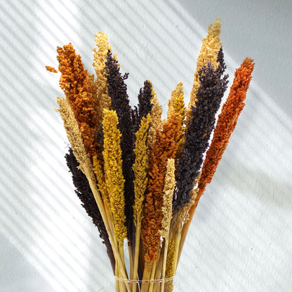 Cantal Grass Bunch - Black - Image cantal-grass-bunch--black-cgb-10