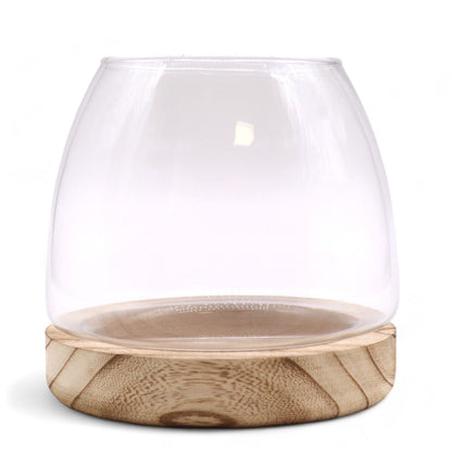 Medium Terrarium on Natural Tung Wood - Image medium-terrarium-on-natural-tung-wood-gter-09