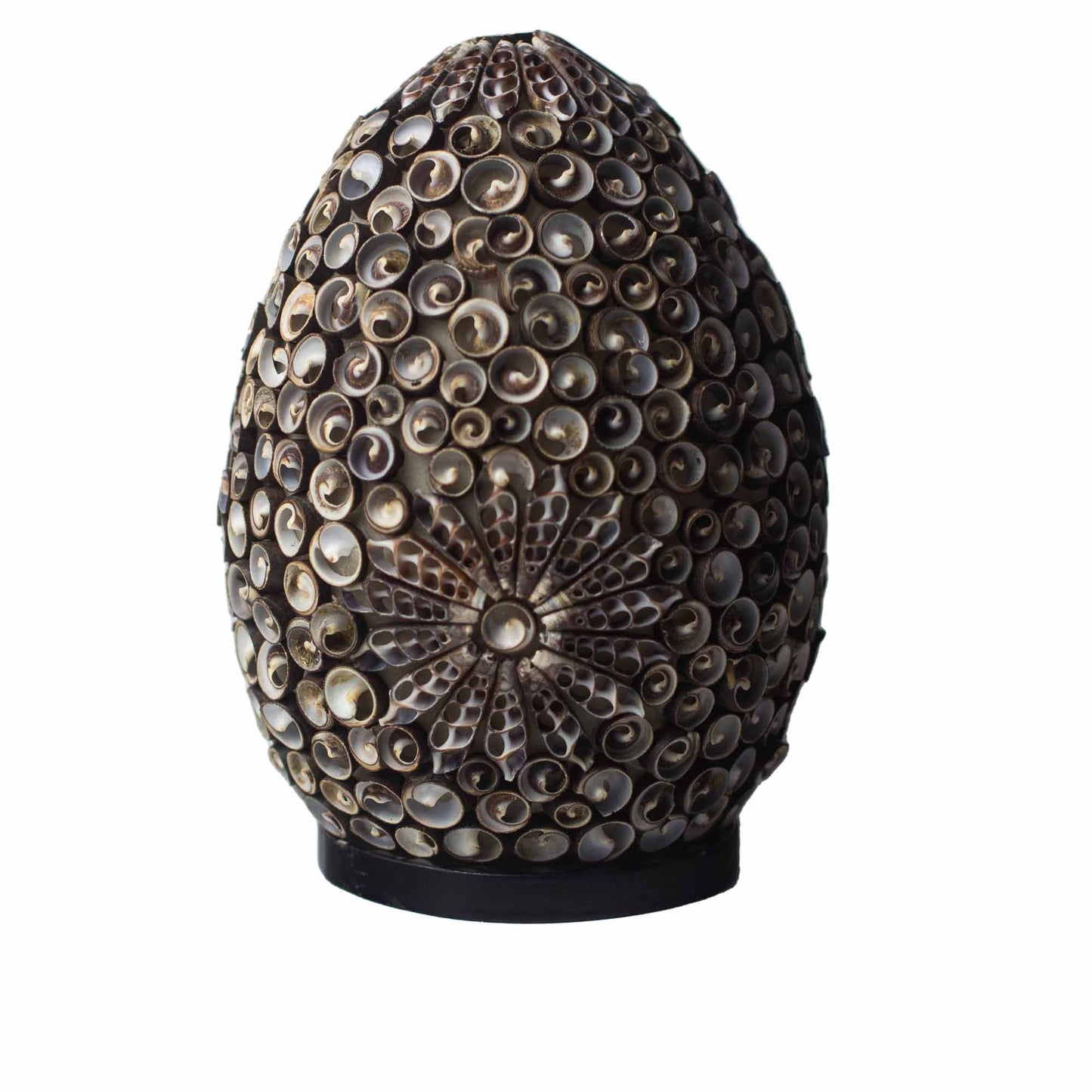 Boho Sea Shell Lamp - Chocolate Twist Oval - 20cm - Image boho-sea-shell-lamp--chocolate-twist-oval--20cm-bbsl-07