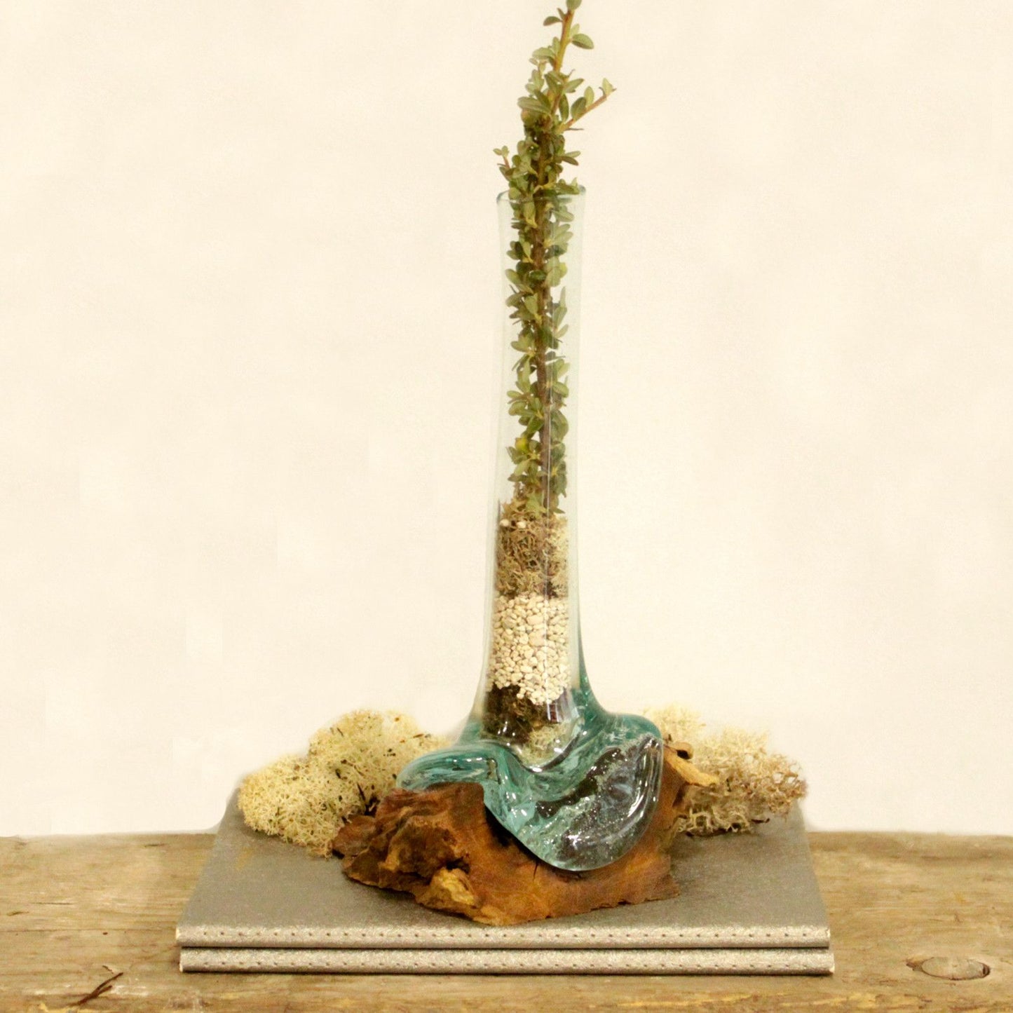 Molten Glass on Wood - Vase - Image molten-glass-on-wood--vase-mgw-04