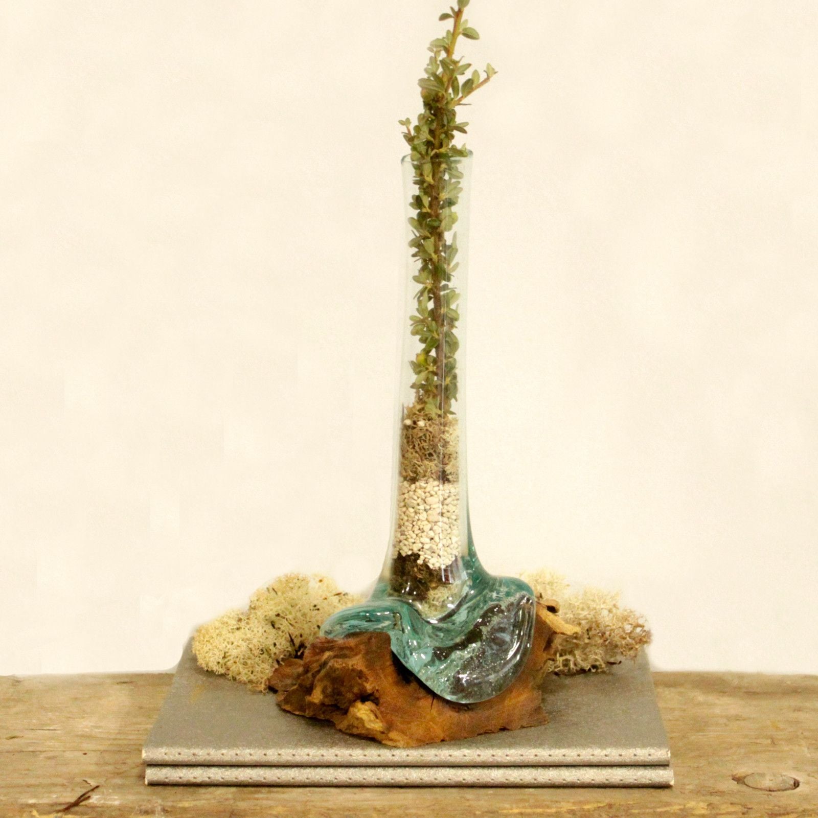 Molten Glass on Wood - Vase - Image molten-glass-on-wood--vase-mgw-04