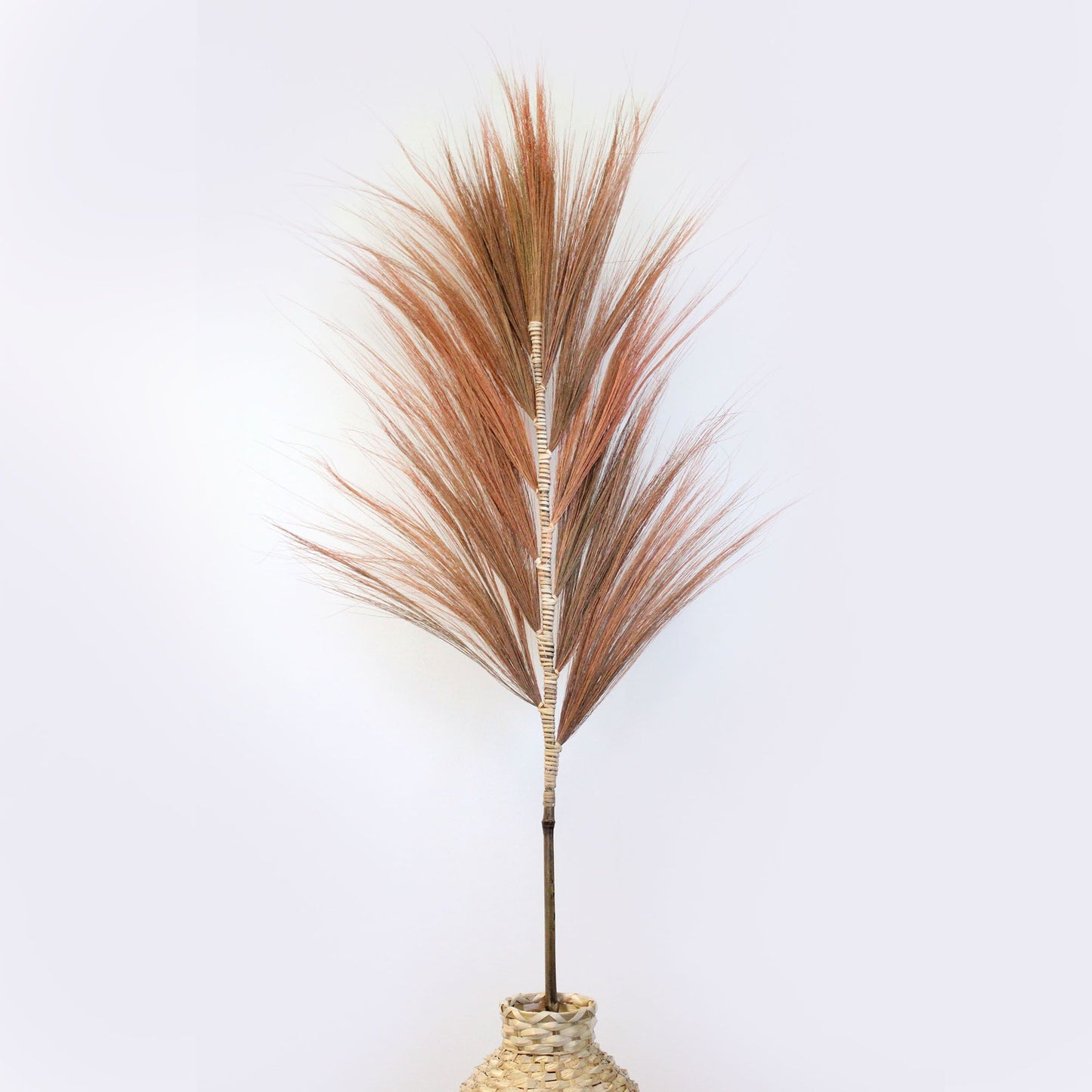 Rayung Grass Coral - 1.6m - Image rayung-grass-coral--16m-pamg-04