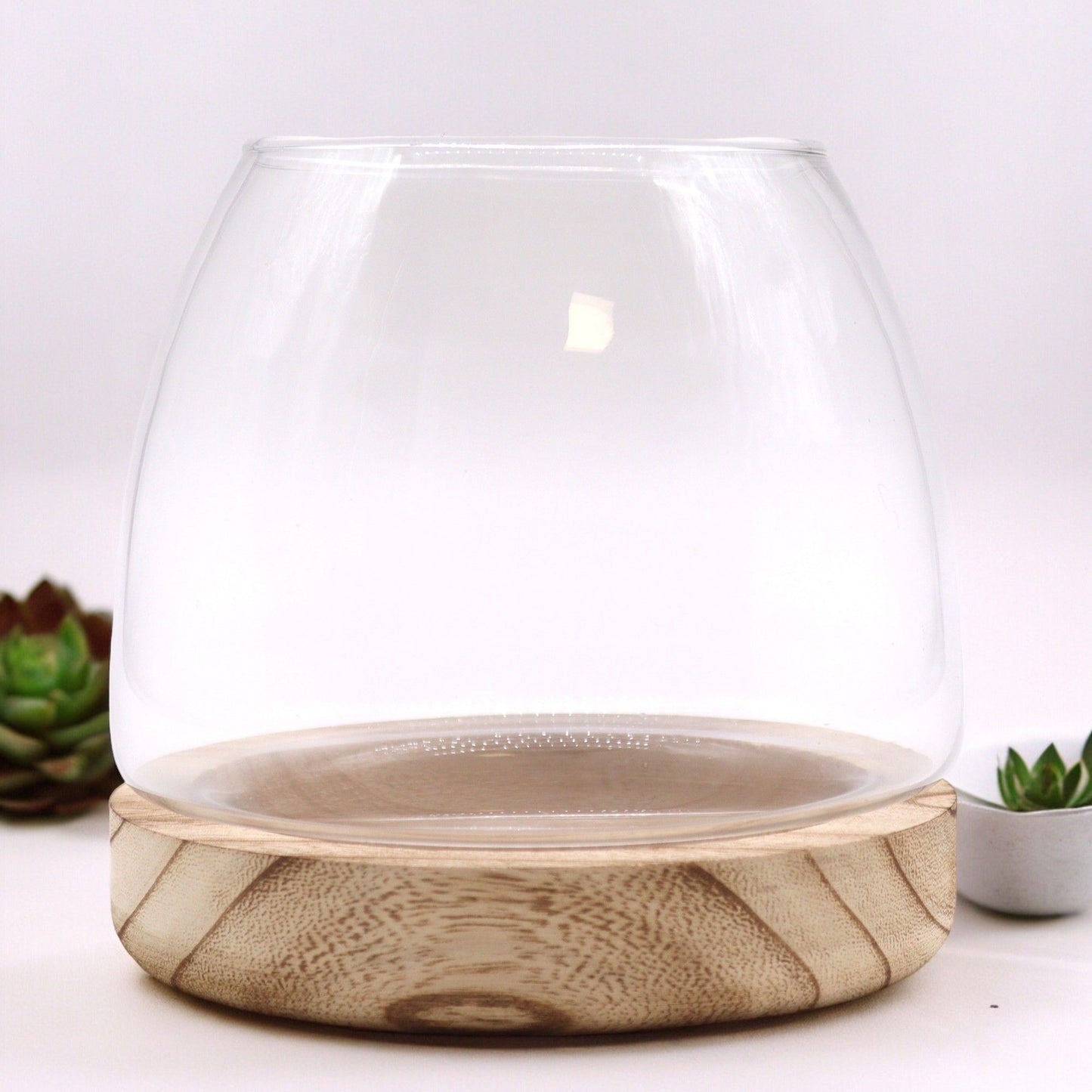 Medium Terrarium on Natural Tung Wood - Image medium-terrarium-on-natural-tung-wood-gter-09