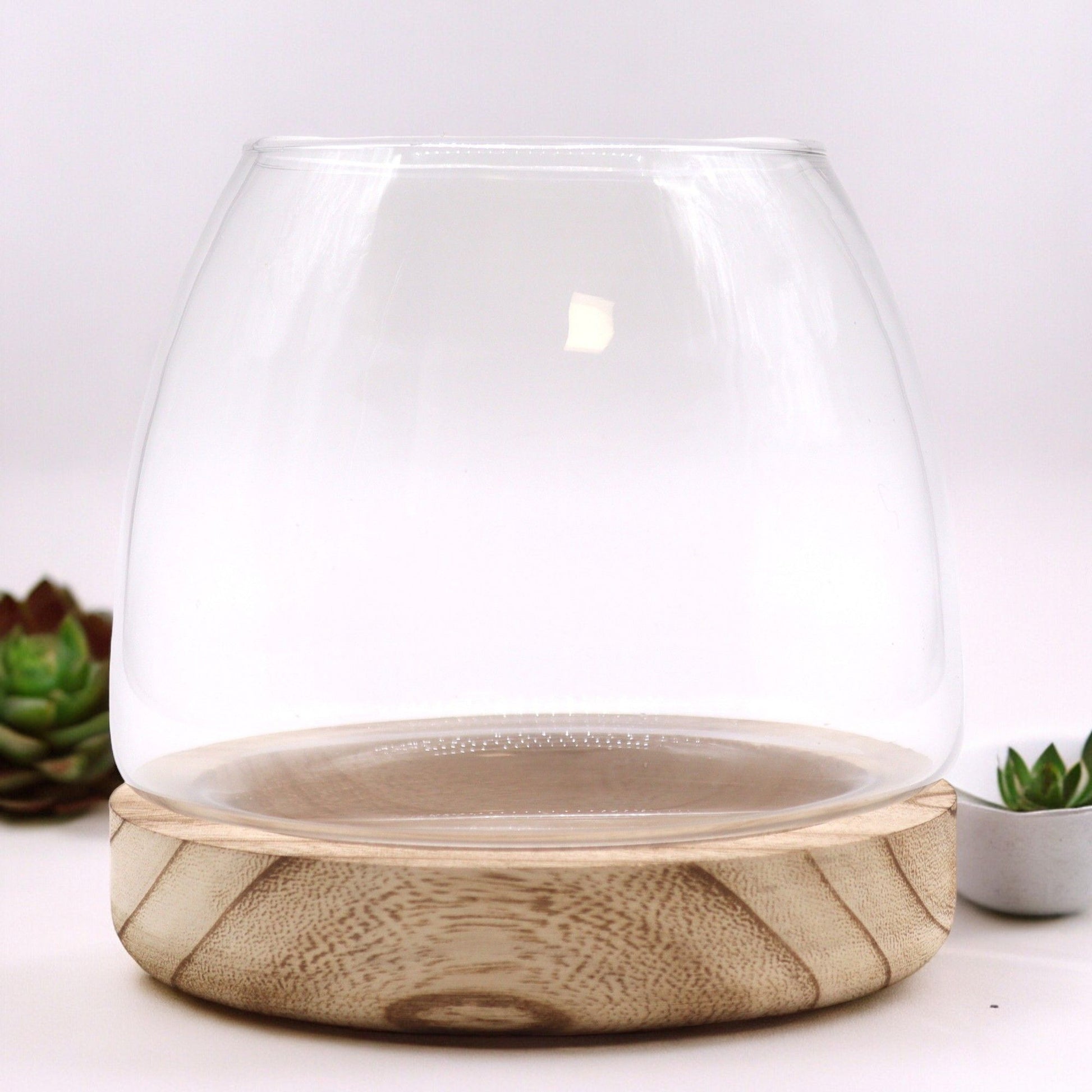 Medium Terrarium on Natural Tung Wood - Image medium-terrarium-on-natural-tung-wood-gter-09