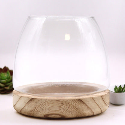 Medium Terrarium on Natural Tung Wood - Image medium-terrarium-on-natural-tung-wood-gter-09