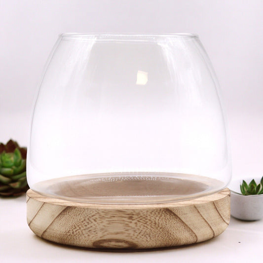 Medium Terrarium on Natural Tung Wood - Image medium-terrarium-on-natural-tung-wood-gter-09