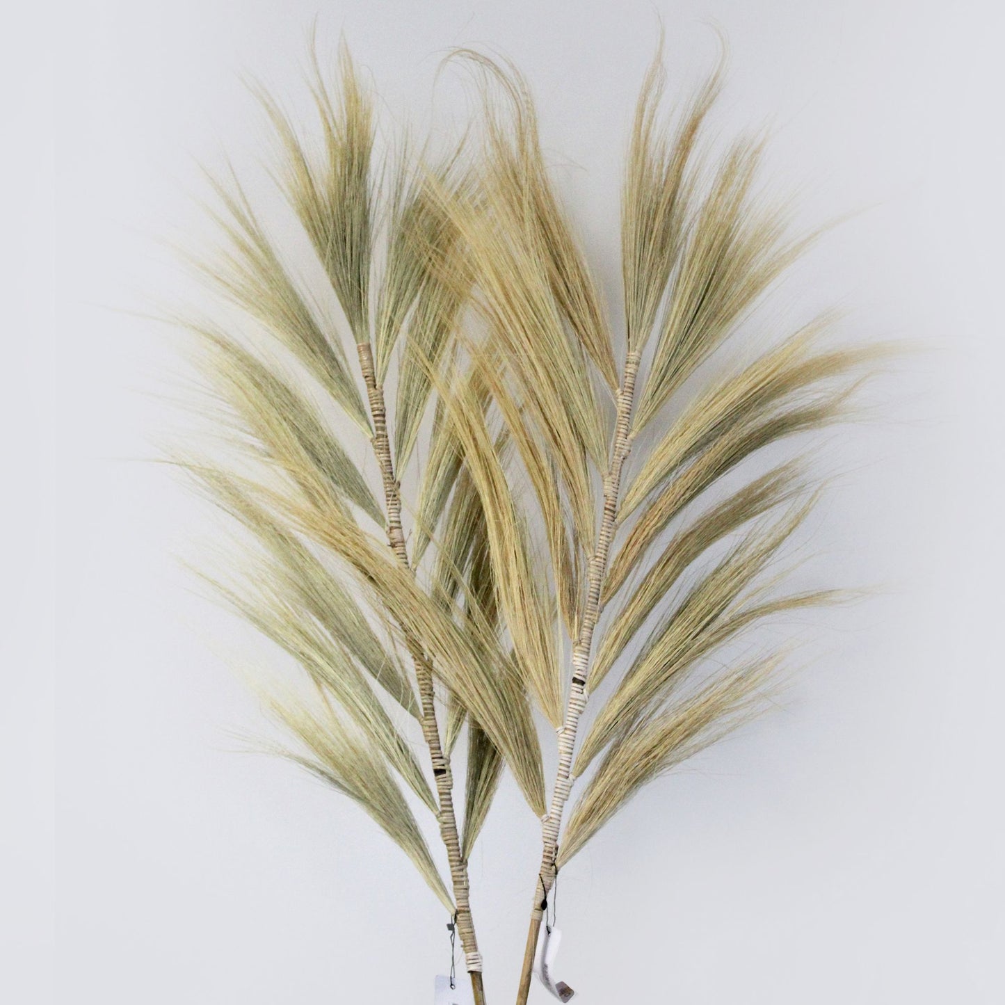 Rayung Grass Blond - 2m - Image rayung-grass-blond--2m-pamg-08