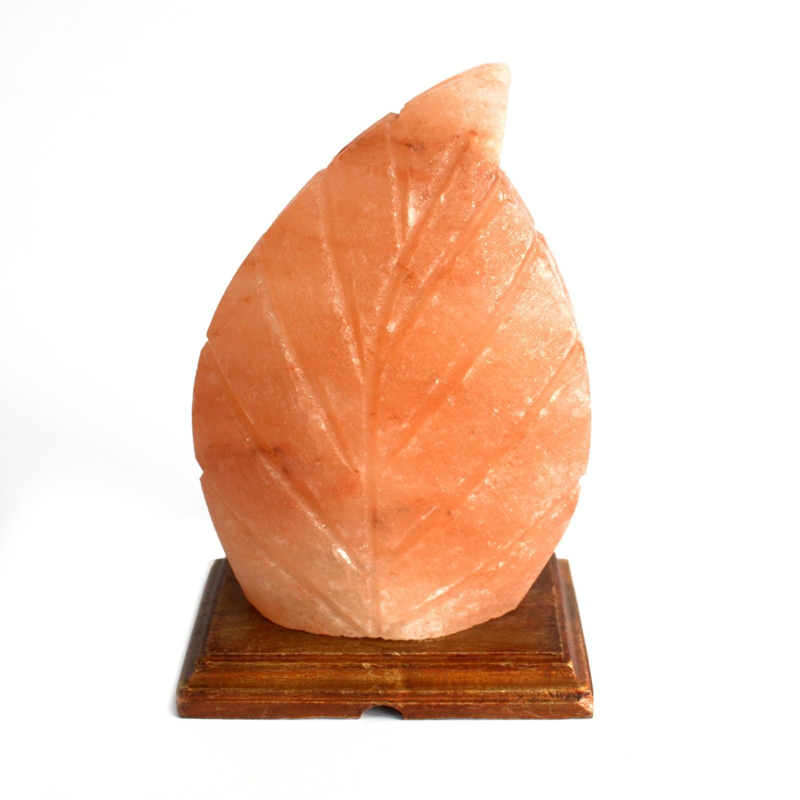 Shape Salt Lamp - Fern - Image shape-salt-lamp--fern-qsalt-61