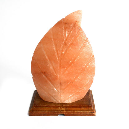 Shape Salt Lamp - Fern - Image shape-salt-lamp--fern-qsalt-61