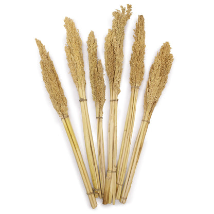 Cantal Grass Bunch - Natural - Image cantal-grass-bunch--natural-cgb-01