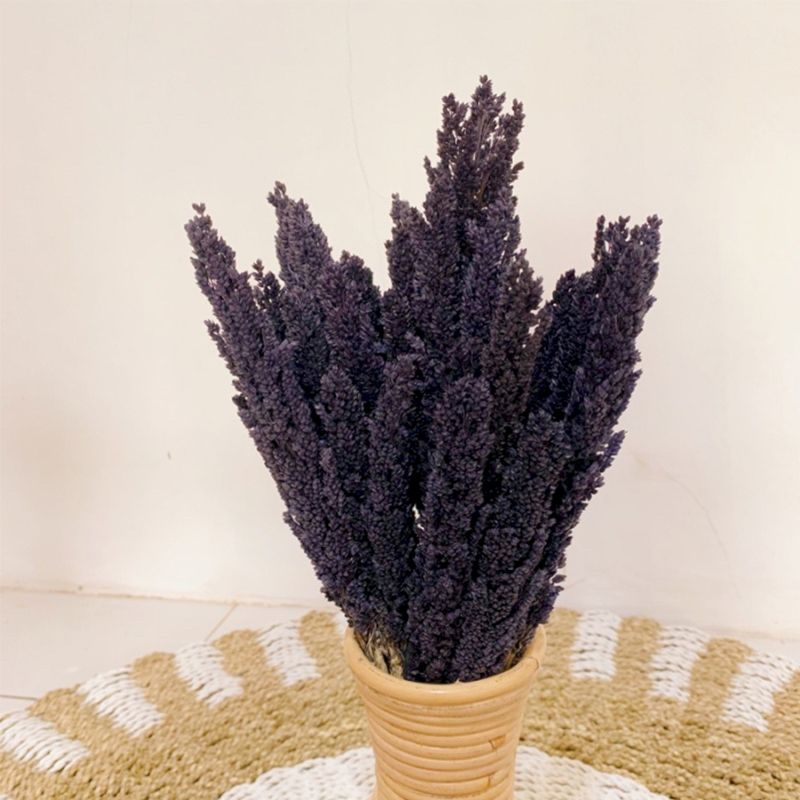 Cantal Grass Bunch - Black - Image cantal-grass-bunch--black-cgb-10