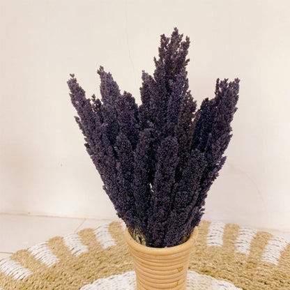 Cantal Grass Bunch - Black - Image cantal-grass-bunch--black-cgb-10