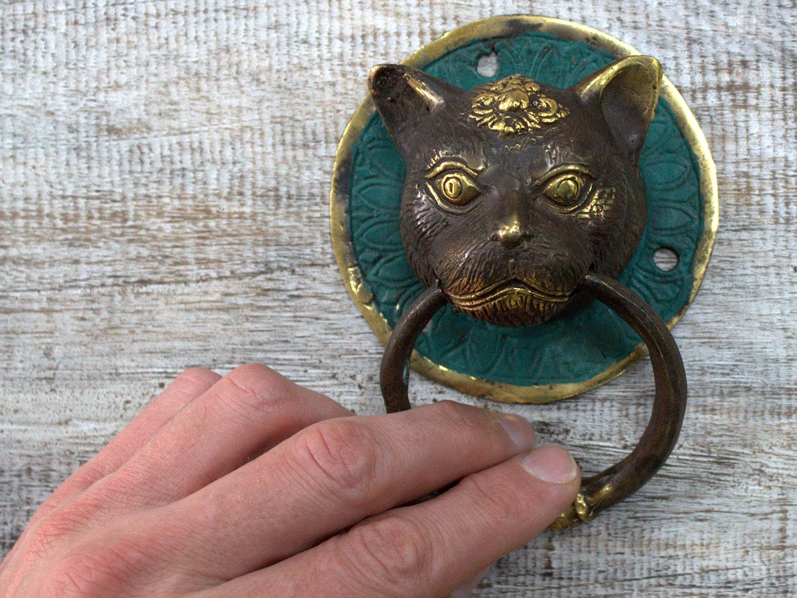 Brass Door Knocker - Cats Head - Image brass-door-knocker--cats-head-bdk-04