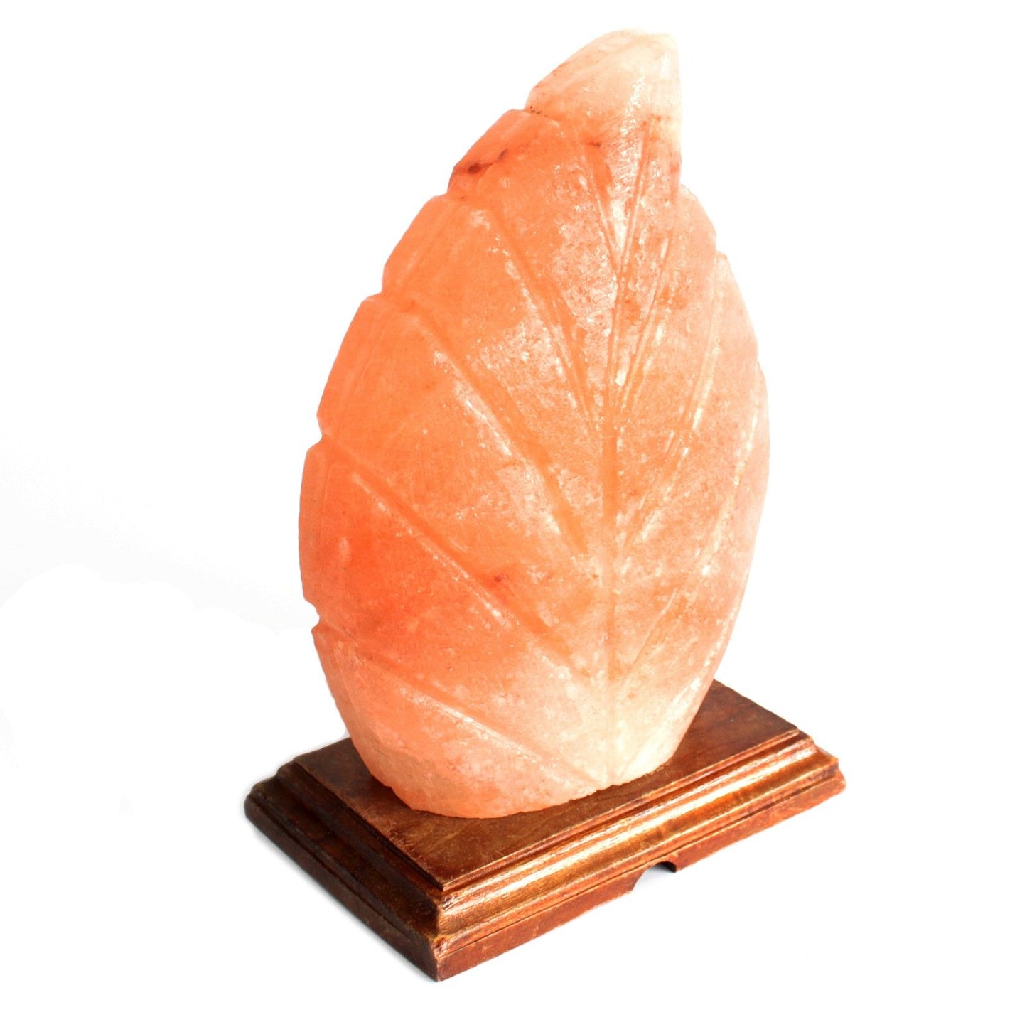 Shape Salt Lamp - Fern - Image shape-salt-lamp--fern-qsalt-61