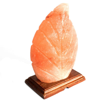 Shape Salt Lamp - Fern - Image shape-salt-lamp--fern-qsalt-61