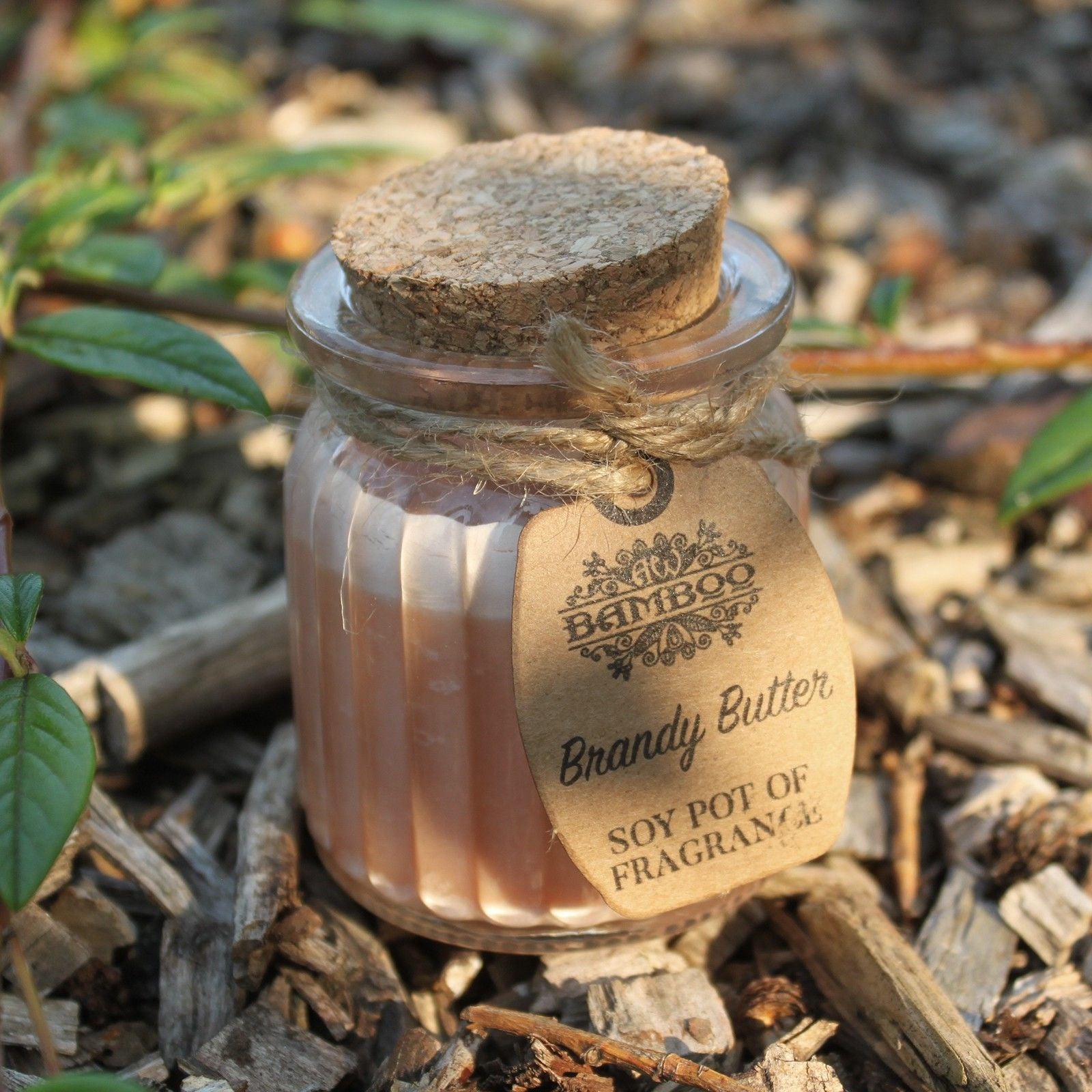 Brandy Butter Soy Pot of Fragrance Candles - Image brandy-butter-soy-pot-of-fragrance-candles-soyp-12