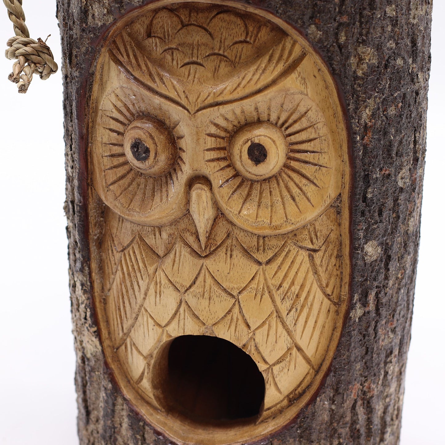 Tree Trunk Face - Bird House - Wise Owl - Image tree-trunk-face--bird-house--wise-owl-birdb-09